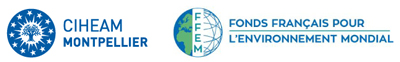 logo_p1_iamm