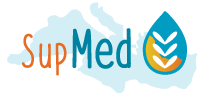 logo_supmed